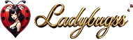 Ladybugss